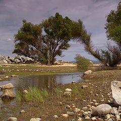 photo "вода ушла ....."