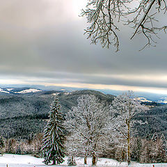 фото "Буковель"