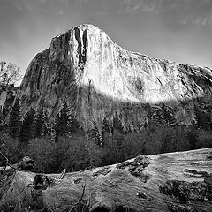 фото "El Capitan"