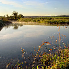 фото "..летнее утро.."