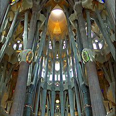 photo "Sagrada Família Church"