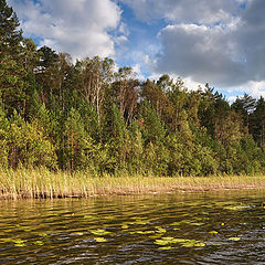 фото "На озере"