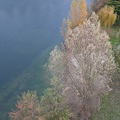 фото "Autumn in Kehl"