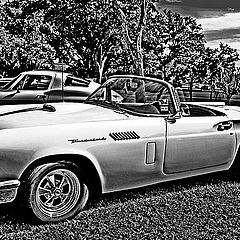 photo "T-Bird"