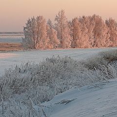 фото "Вдоль дороги"