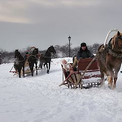 фото "зимние забавы"