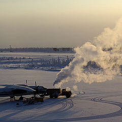 фото "Перед полётом"