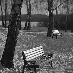 фото "лавочки"