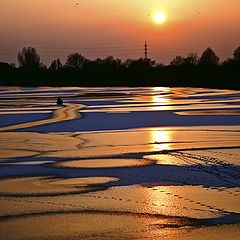 фото "Sunset on ice"