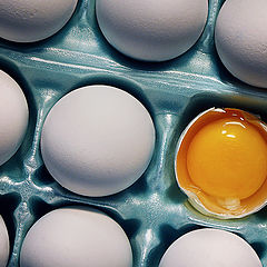 photo "Eggstraordinaire"