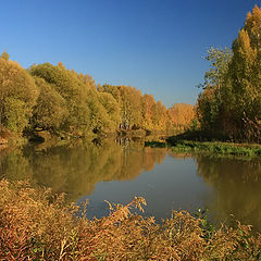 фото "Осень на Клязьме"