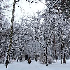 фото "Снова  снегопад"