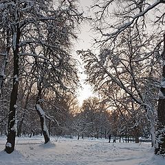 фото "В зимнем парке"