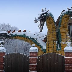 photo "The Russian Dragon"