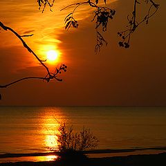 photo "Dawn on the Lake Ladoga"