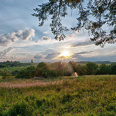 фото "Summer breeze"