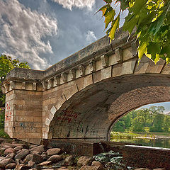 фото "Под сенью клёна"