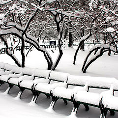 photo "Snowy park"