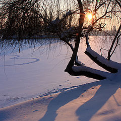 photo "Winter story"