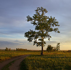 фото "Вечерний этюд"