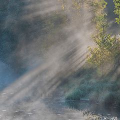 photo "Rays of light ..."