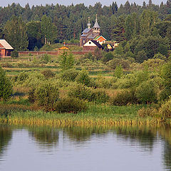 фото "В глуши"