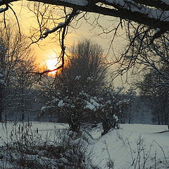 фото "winter ending"