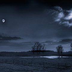 photo "Nocturne"