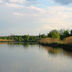 фото "Середина мая."