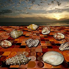 фото "Sea Shell Conference On Dry Against The Global Warming"