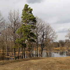 фото "Разлив"