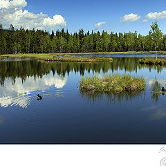 photo "Šumava - national park"