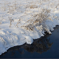photo "***"
