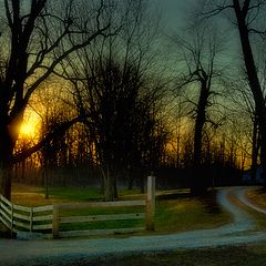 photo "Winding Lane"
