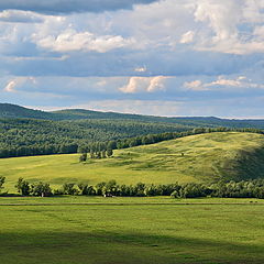 фото "Родные просторы"