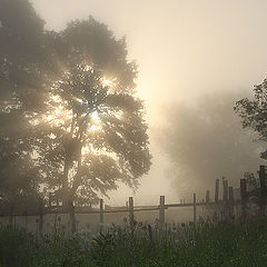 photo "One misty May morning"