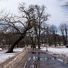 photo "Riga. The beginning of new spring."