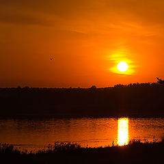 photo "Evening on the Volga"