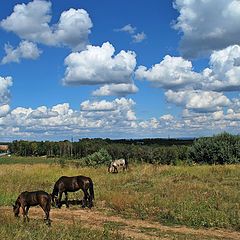 фото "Облака, белогривые лошадки..."