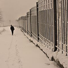 фото "Ритмичная перспектива в ненастную погоду"