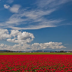 photo "Blue Sky"