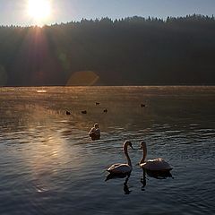 photo "***"