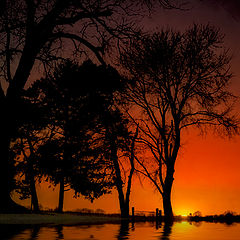 photo "Silhouette Reflections"