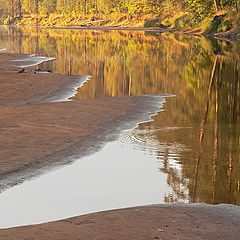 photo "The rhythm of the morning silence"