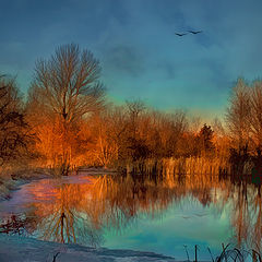 photo "The Pond"