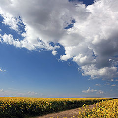 photo "Road clouds"