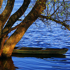 photo "***"