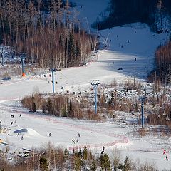 фото "Сезон в разгаре"