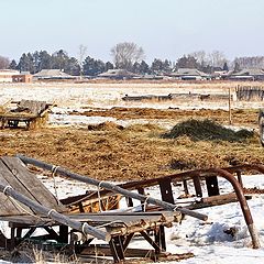 фото "Обычный день"