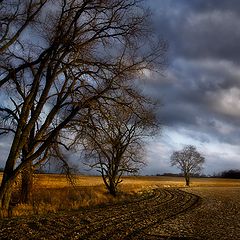 photo "***"